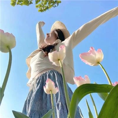 混沌之龙:赤龙战役